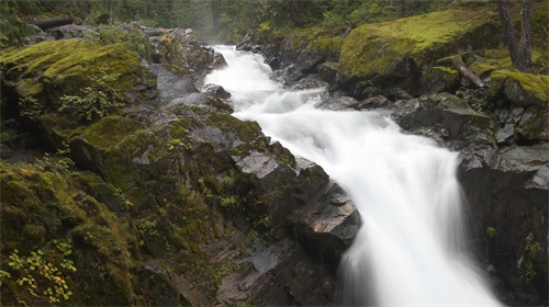 知识交流分享 知识交流分享