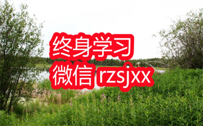 定投实践课程时间积累财富学习笔记