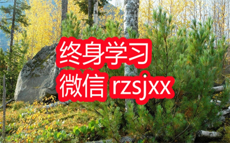 杀认知训练营玩命读书会网盘